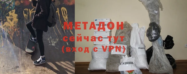 стаф Алексин