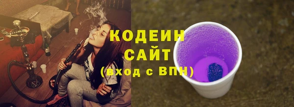 прущий лед Алзамай