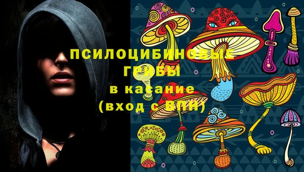 прущий лед Алзамай