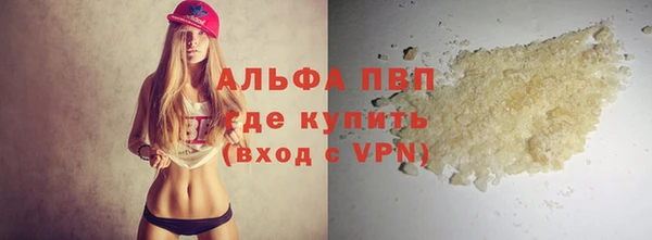 стаф Алексин