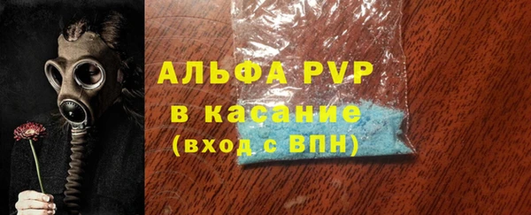 стаф Алексин