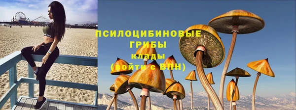 прущий лед Алзамай