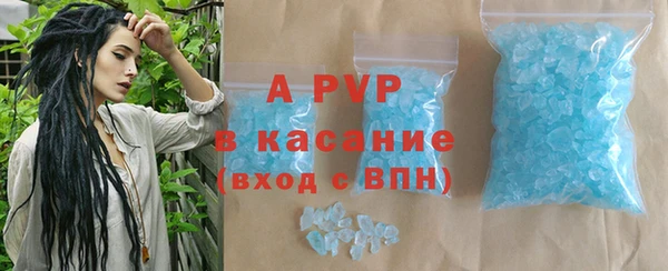стаф Алексин